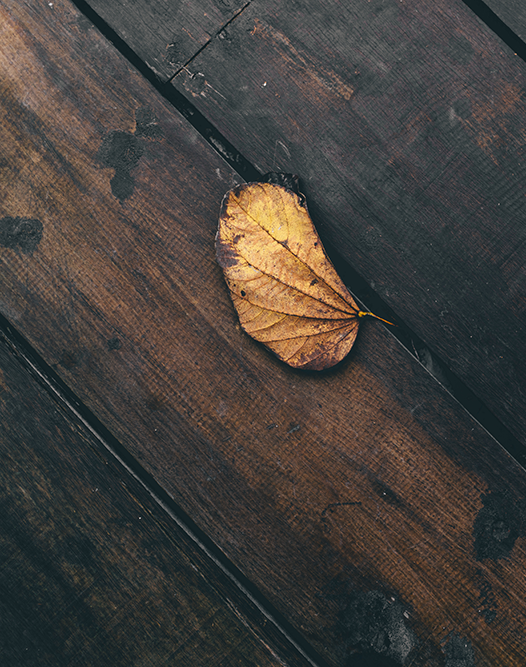 Souvenirs chaleureux. De l’inspiration? Découvrez l’option Bronze Sunset dans notre collection Reflect.